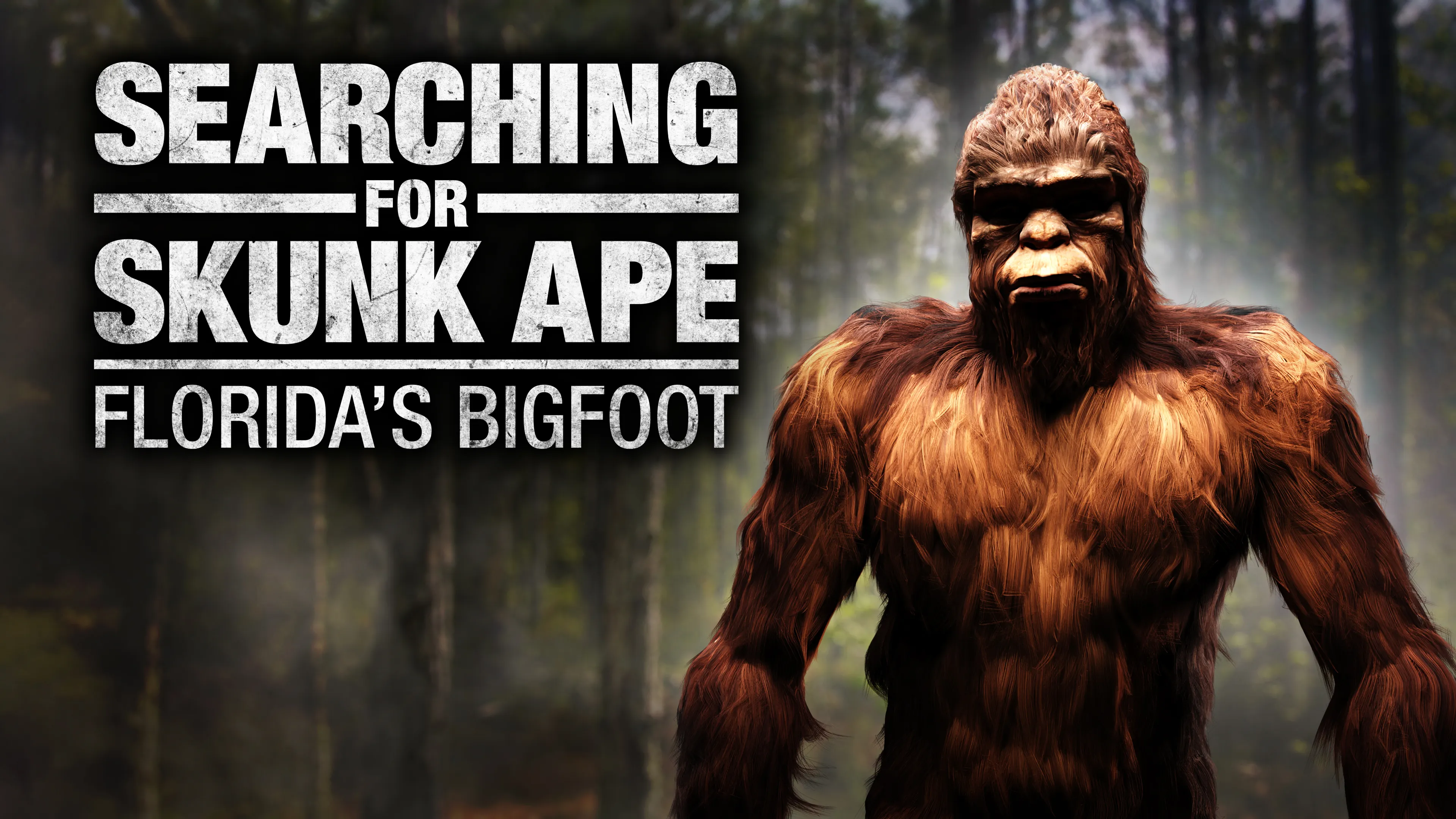 Searching for Skunk Ape: Florida's Bigfoot poster